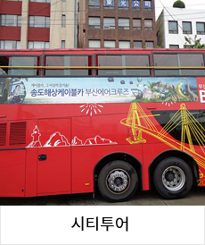 씨티투어